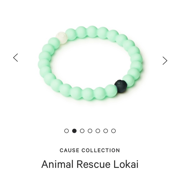 Animal Rescue Lokai - Picture 5 of 10